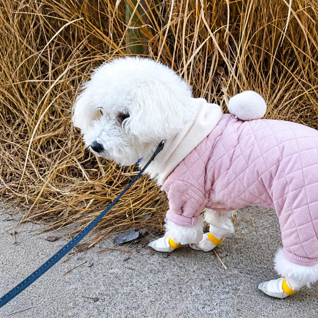 Disposable Dog Paw Covers for Outdoor Walks