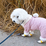 Disposable Dog Paw Covers for Outdoor Walks