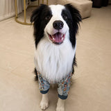 Lightweight Dog Jacket with Elbow and Knee Sleeves for Large Dogs
