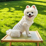 Lightweight Mesh Bow Pet Shirt with Leash Opening for Dogs & Cats
