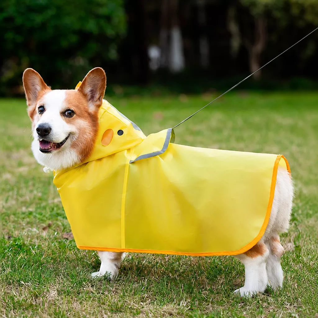 Waterproof Dog Raincoat for Small and Medium Breeds