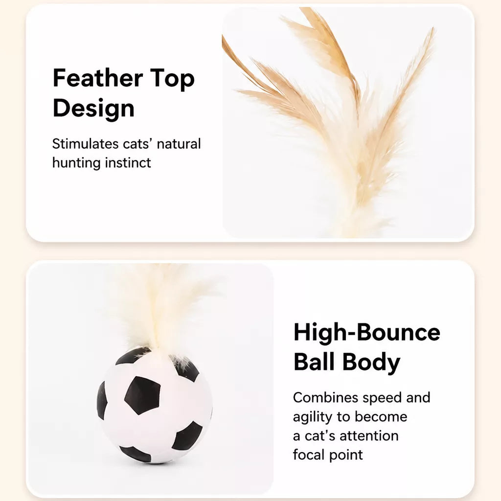 Cat Ball Toy with Feather Details