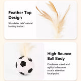 Cat Ball Toy with Feather Details