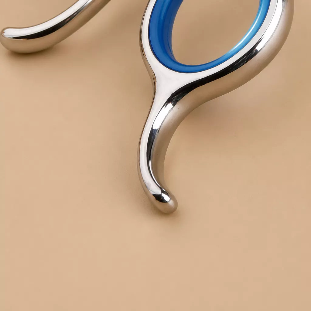 Pet Grooming Shears Set with Storage Case