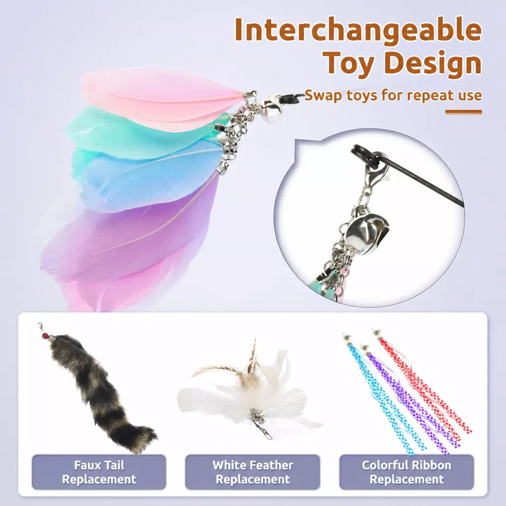 Cat Teaser Wand with Interchangeable Feather Attachments