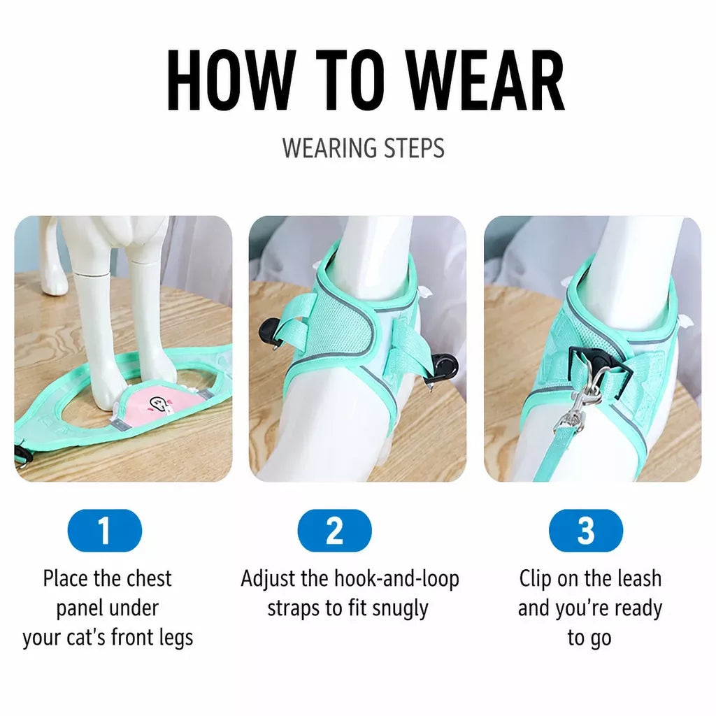 Nylon Dog & Cat Harness and Leash for Everyday Walks