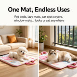 Foldable Pet Mat for Dogs and Cats