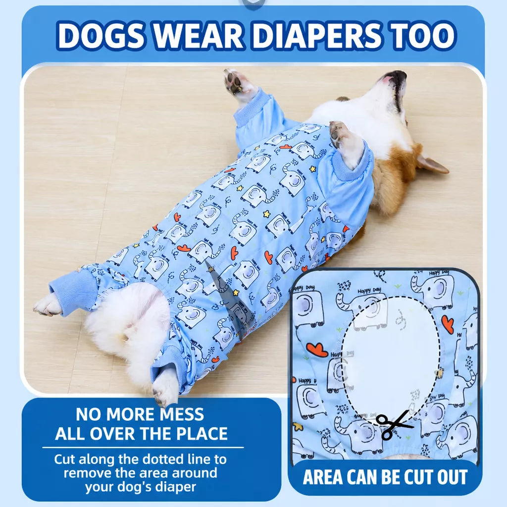 Dog Outdoor Rainwear