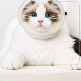 Plastic Recovery Cone for Cats During Grooming and Care
