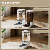 Elevated Dog & Cat Feeding Station with Water Dispenser