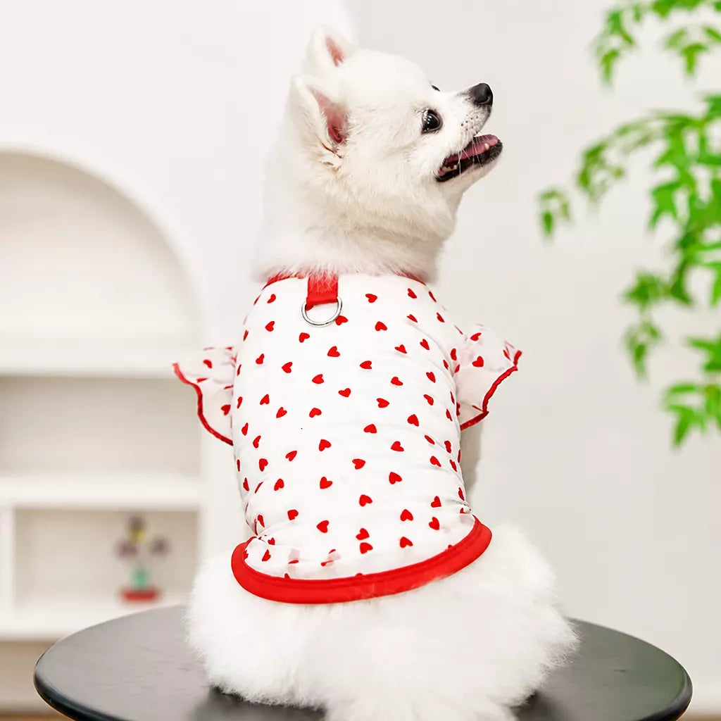 Lightweight Mesh Pet Shirt for Dogs and Cats
