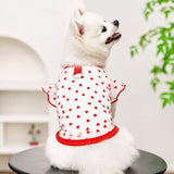 Lightweight Mesh Pet Shirt for Dogs and Cats