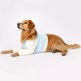 Lightweight Summer Dog Shirt for Medium to Large Breeds