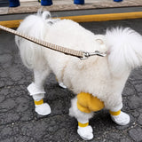Disposable Dog Paw Covers for Outdoor Walks
