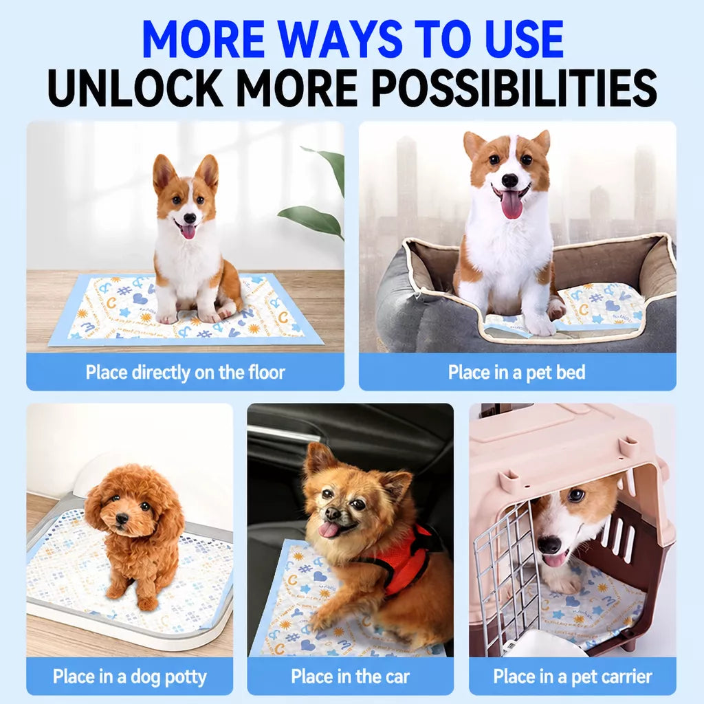 Absorbent Pet Training Pads with a Non-Woven Surface