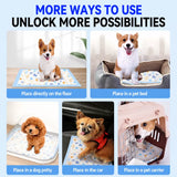 Absorbent Pet Training Pads with a Non-Woven Surface