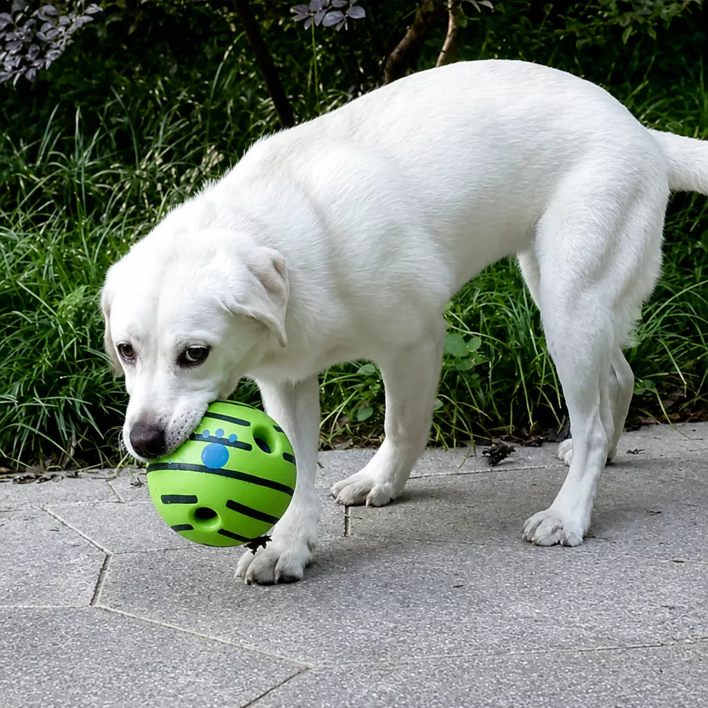 Interactive Squeaky Ball Dog Toy