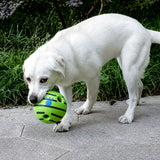 Interactive Squeaky Ball Dog Toy