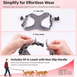 Dog Harness and Leash Set for Small to Medium Dogs