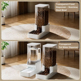 Elevated Dog & Cat Feeding Station with Water Dispenser