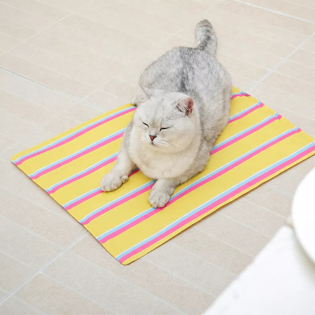 Striped Pet Mat for Dogs and Cats