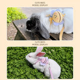 Nylon Rabbit Harness with Leash