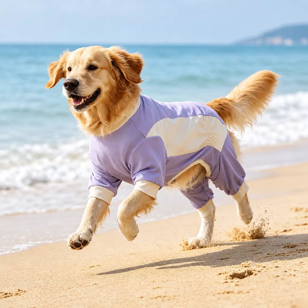 Summer Dog Clothing for Outdoor Wear
