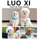 Nylon Dog & Cat Harness and Leash for Everyday Walks