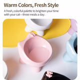 Ceramic Pet Bowl