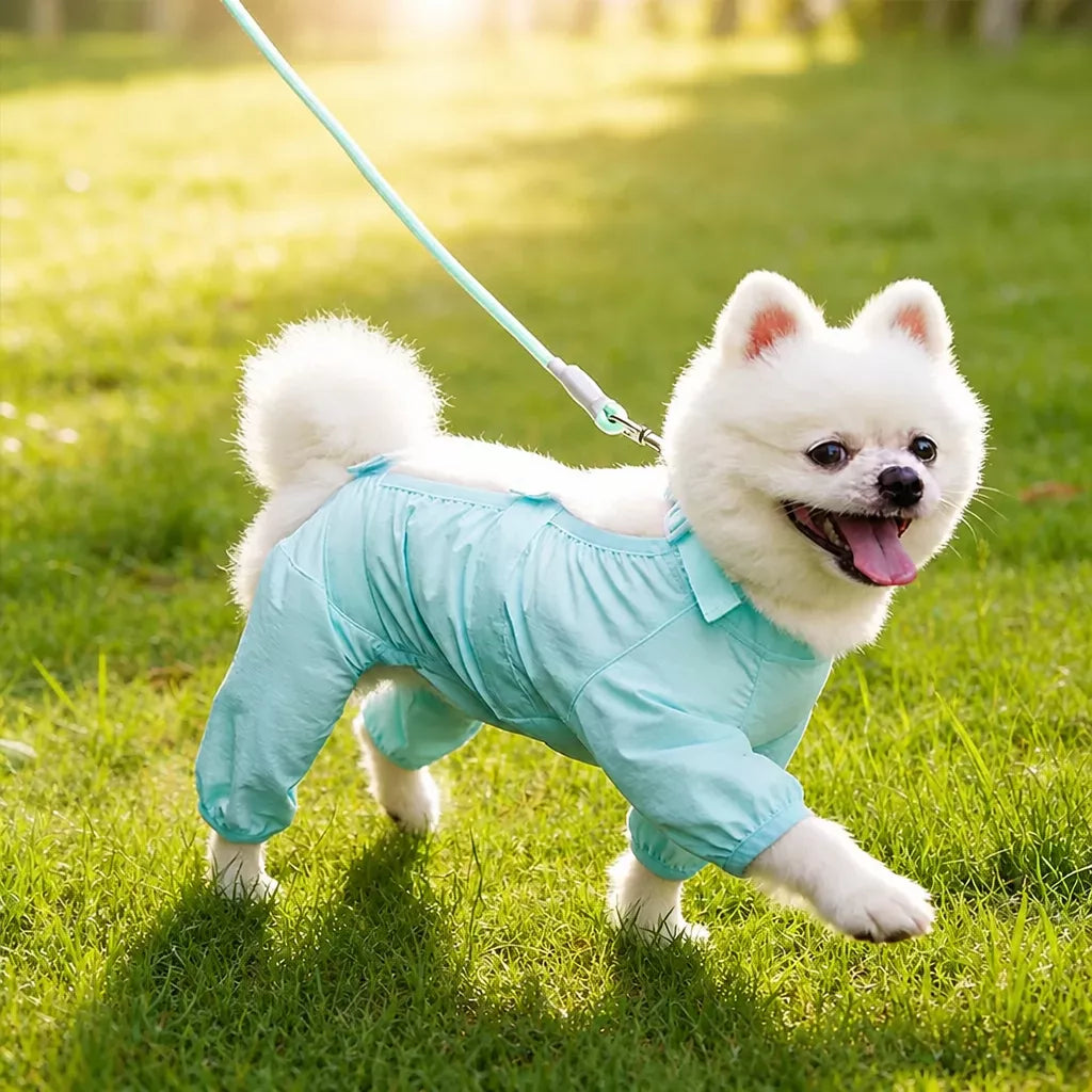 Four-Legged Outdoor Suit for Dogs & Cats