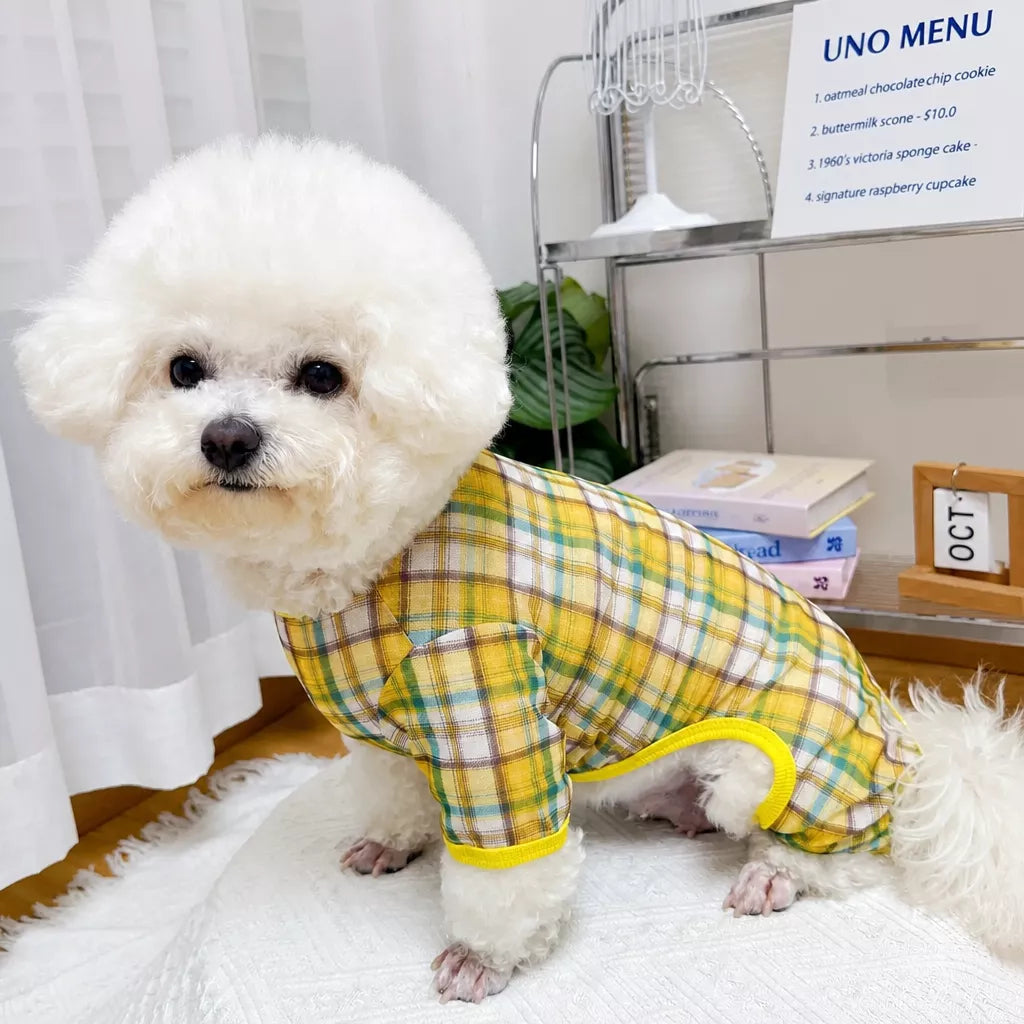Striped Mesh Four-Leg Summer Shirt for Dogs