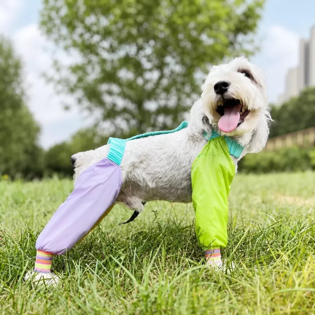 Four-Leg Dog Jumpsuit for Outdoor Wear