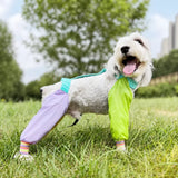 Four-Leg Dog Jumpsuit for Outdoor Wear