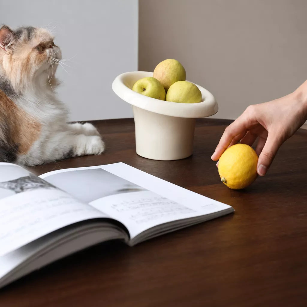 Wide-Opening Ceramic Pet Bowl for Cats and Dogs
