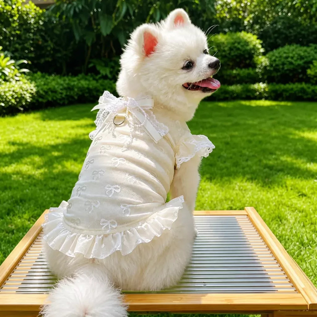 Lightweight Mesh Bow Pet Shirt with Leash Opening for Dogs & Cats