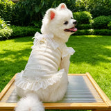 Lightweight Mesh Bow Pet Shirt with Leash Opening for Dogs & Cats