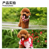 Pet Coat Grooming Brush for Small Dogs