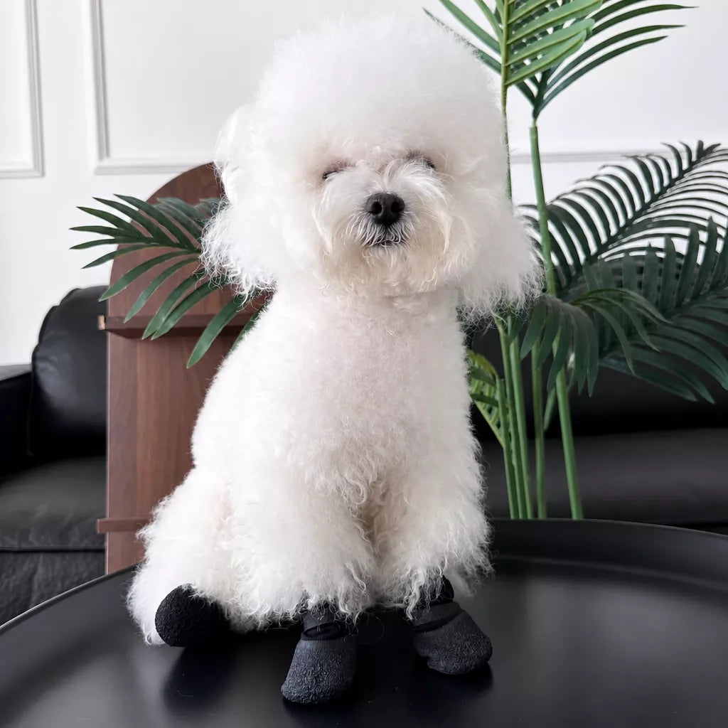 Dog Shoes for Small and Medium Dogs