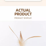 Cat Ball Toy with Feather Details