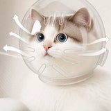 Clear Plastic Pet Recovery Cone for Cats