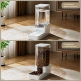 Elevated Dog & Cat Feeding Station with Water Dispenser