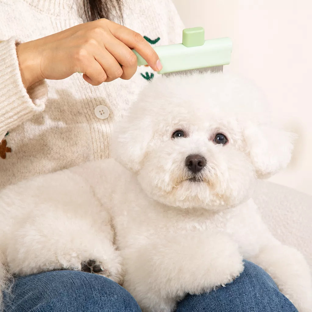 Self-Cleaning Deshedding Comb for Cats & Dogs