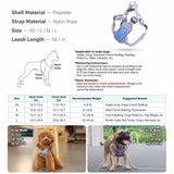 Dog Harness and Leash Set for Small to Medium Dogs