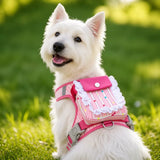 Vest-Style Harness and Leash Set for Small to Medium Dogs