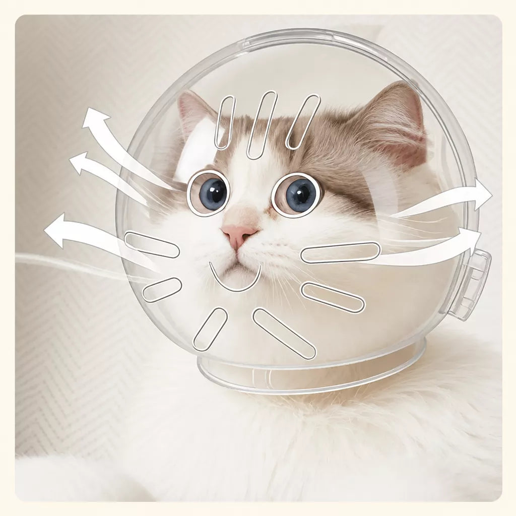 Plastic Recovery Cone for Cats During Grooming and Care