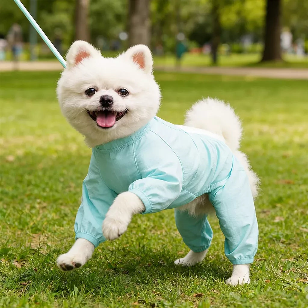 Four-Legged Outdoor Suit for Dogs & Cats