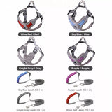 Dog Harness and Leash Set for Small to Medium Dogs