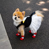 Mesh Dog Shoes with Soft Soles for Everyday Walks