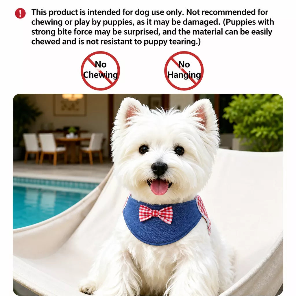 Dog Harness and Leash Set for Small to Medium Dogs