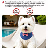 Dog Harness and Leash Set for Small to Medium Dogs